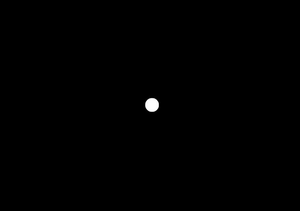 A white dot on a black background